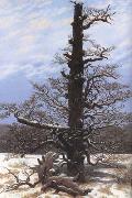 Oak Tree in the Snow (mk10)
